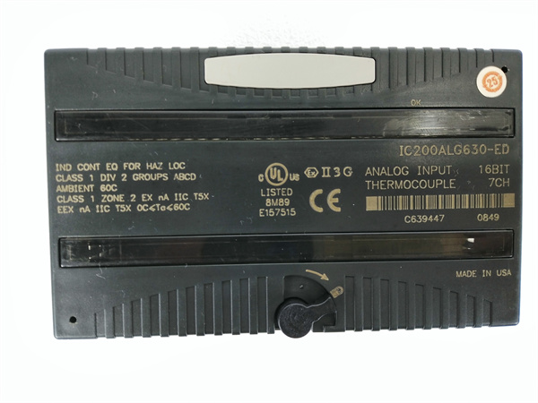 IC200ALG630